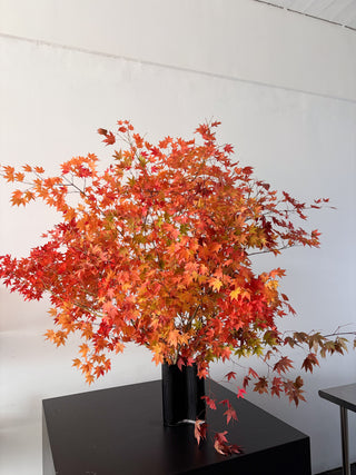 FALL ABUNDANCE