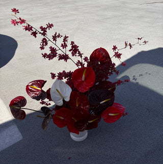 LUXURIOUS REDS