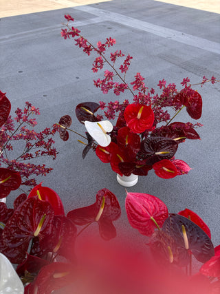 LUXURIOUS REDS