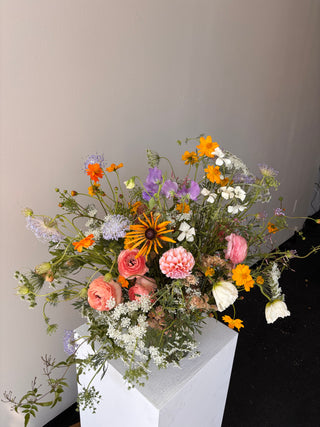 WILDFLOWERS OF THE WEEK