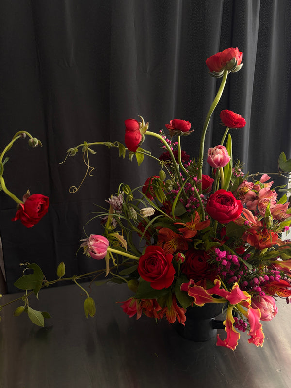 WILD ROMANCE