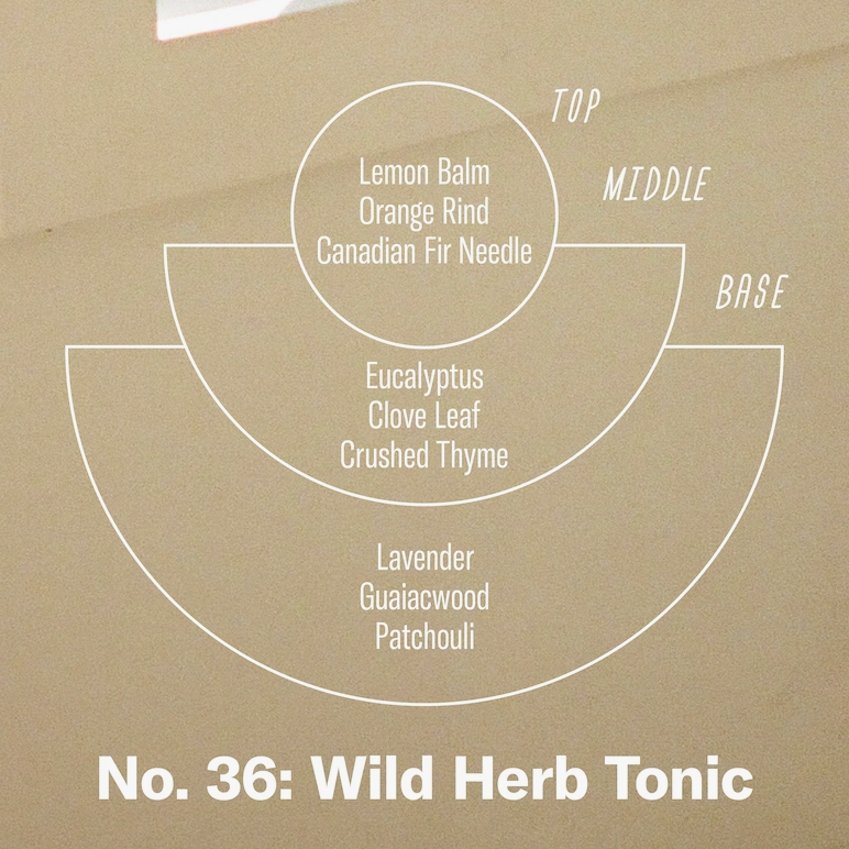 Wild Herb Tonic - 7.2 oz Standard Soy Candle