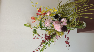 Collage of floral arrangements with WildStems branding.